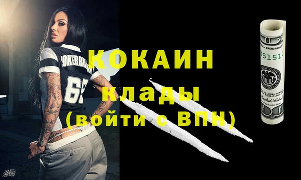 стафф Алзамай