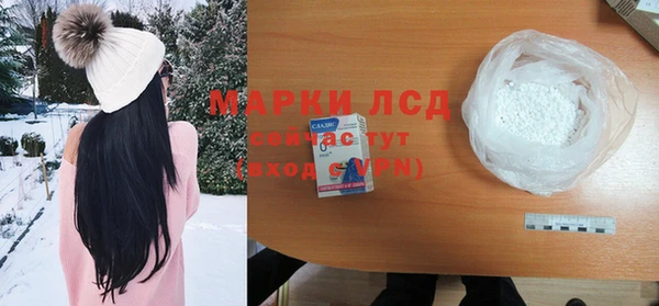 стафф Алзамай